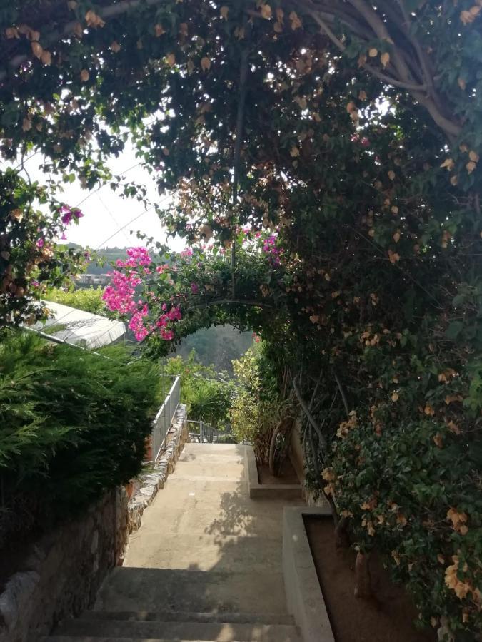 Villa Del Conte Drapia Экстерьер фото